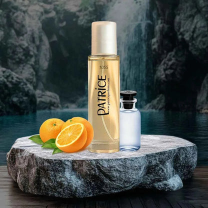 1055 - equivalente a MÉTÉORE, LOUIS VUITTON