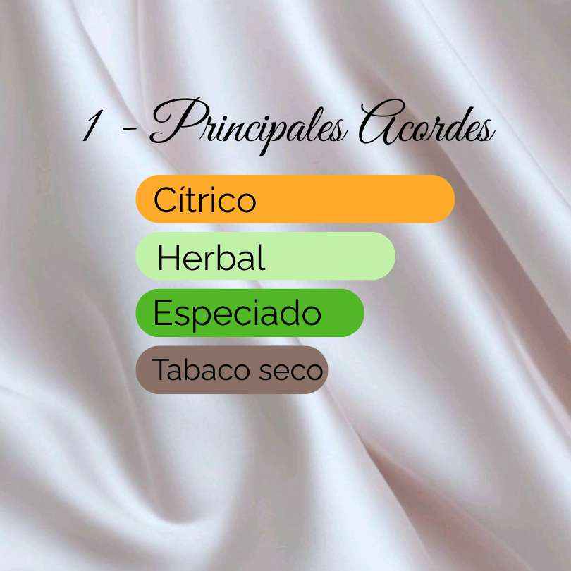 1 - equivalente a DOLCE GABBANA POUR HOMME