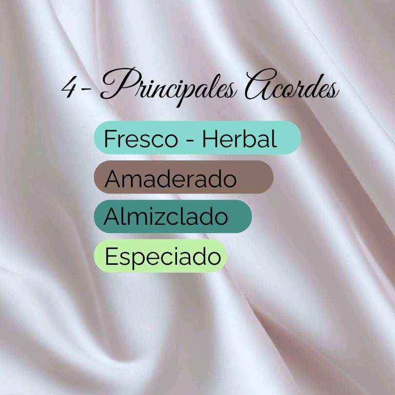 4 - Equivalente a 212 Hombre de Carolina Herrera