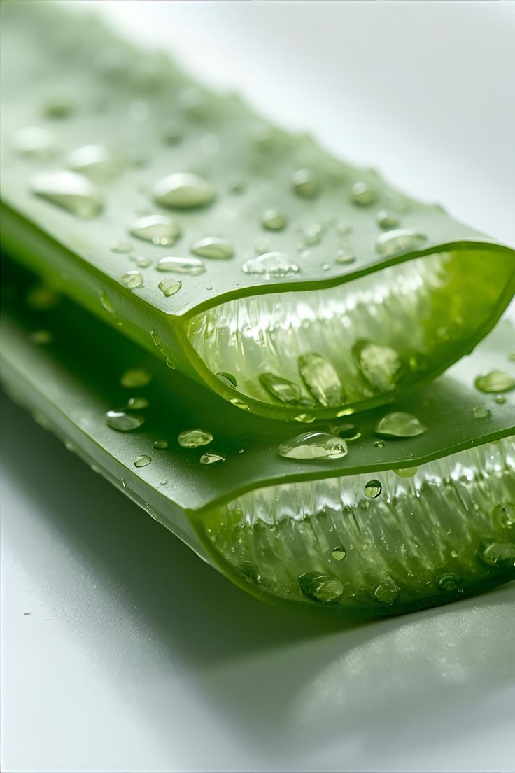 Crema Aloe Vera & Olive Oil & Elicina